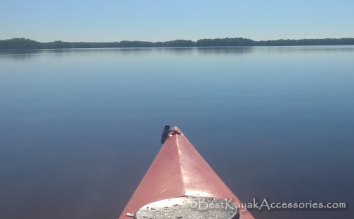 Florida Kayaking Cockroach Bay ©2019 All rights Reserved