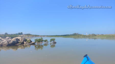 flatwater of shell key kayaking ©2019 All rights reserved