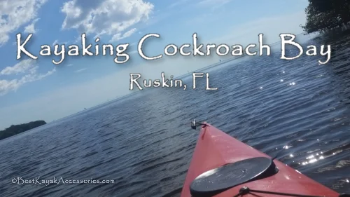 Kayaking Cockroach Bay Ruskin, FL  Tampa Bay Area