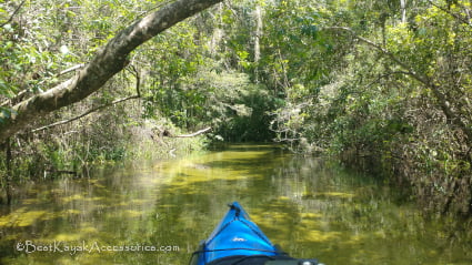 Kayaking Gissy Spring Run / Indian Creek ©2019 All rights Reserved