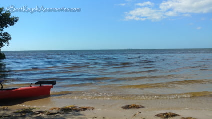 Eating Lunch, Looking at St. Petersburg FL during a kayaking Cockroach Bay trip ©2019 All rights Reserved