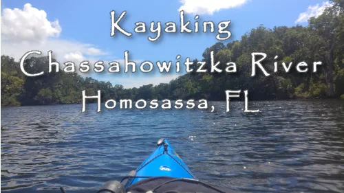 Kayaking Chassahowitzka River - The Chaz Homosassa FL ©2019 All rights Reserved