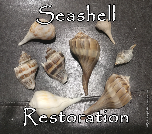 How to Dye Seashells